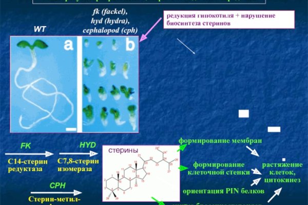 Магазин кракен как попасть