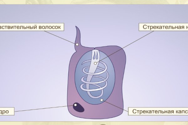 Кракен как зайти ссылка