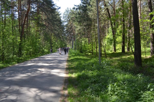 Кракен новое зеркало